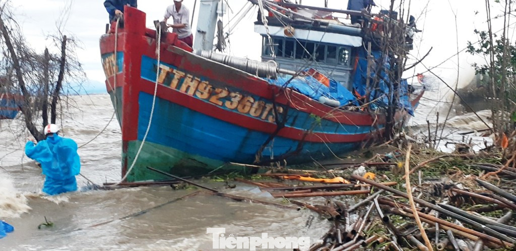 Bão số 13 quần thảo TT-Huế, nhà cửa tốc mái, cây cối gãy đổ ảnh 5