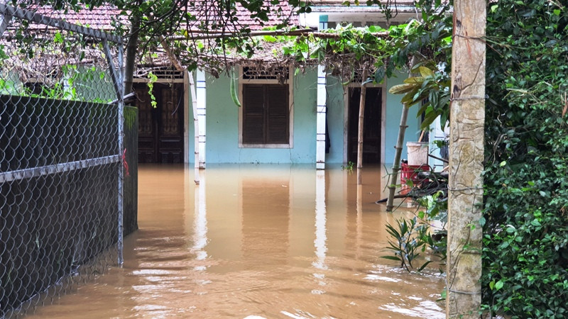 Lũ bất ngờ trở lại, người Huế đặt vó bắt cá giữa con phố ‘hóa’ thành sông ảnh 2