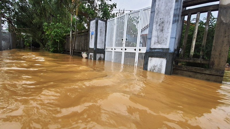 Lũ bất ngờ trở lại, người Huế đặt vó bắt cá giữa con phố ‘hóa’ thành sông ảnh 1