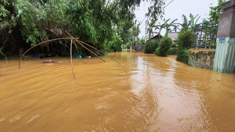 Lũ bất ngờ trở lại, người Huế đặt vó bắt cá giữa con phố ‘hóa’ thành sông ảnh 5