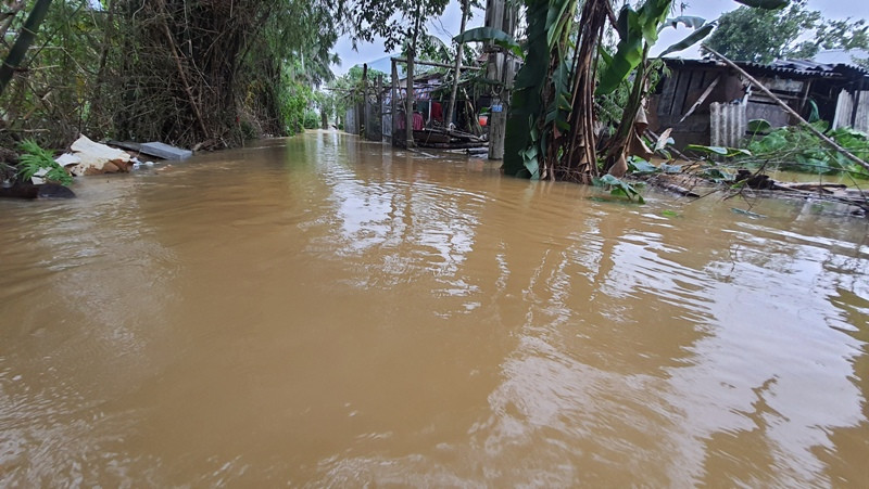 Lũ bất ngờ trở lại, người Huế đặt vó bắt cá giữa con phố ‘hóa’ thành sông ảnh 3