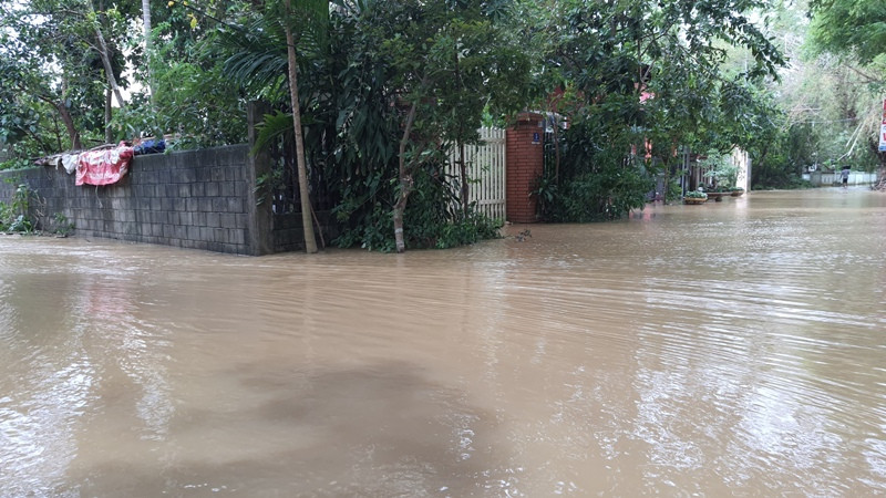 Lũ bất ngờ trở lại, người Huế đặt vó bắt cá giữa con phố ‘hóa’ thành sông ảnh 8