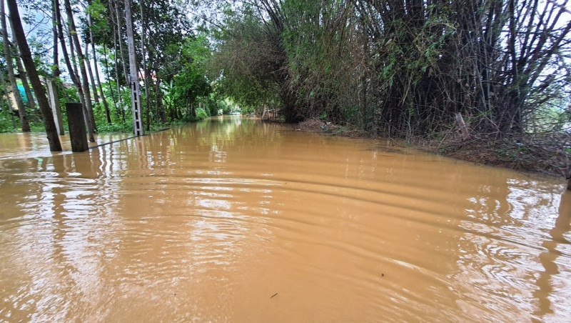 Lũ bất ngờ trở lại, người Huế đặt vó bắt cá giữa con phố ‘hóa’ thành sông ảnh 4