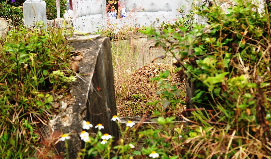 Tận mục nơi thuộc 'thế giới người chết' sắp thành công viên văn hóa ở Huế ảnh 9