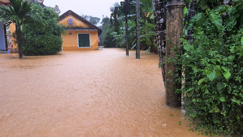 Huế mưa trắng trời, người dân ‘oằn mình’ chống lũ ảnh 10