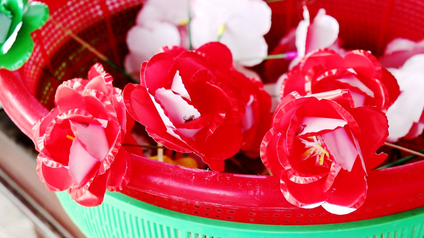 Về làng hoa 300 năm ở Huế chỉ 'nở' một lần vào dịp Tết ảnh 11