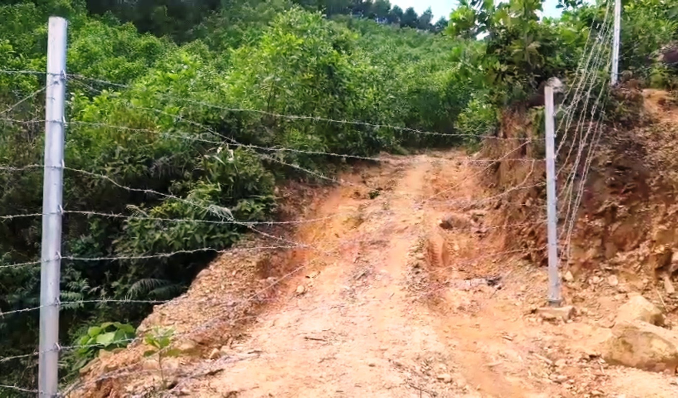 Hàng rào bảo vệ trên cao tốc 11.000 tỷ bị xé nát bươm ảnh 3