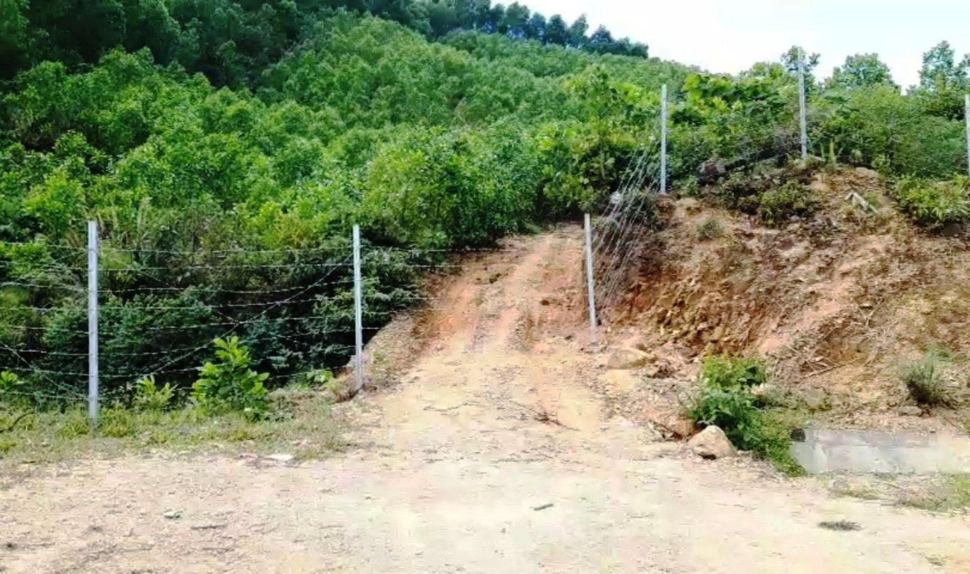 Hàng rào bảo vệ trên cao tốc 11.000 tỷ bị xé nát bươm ảnh 5