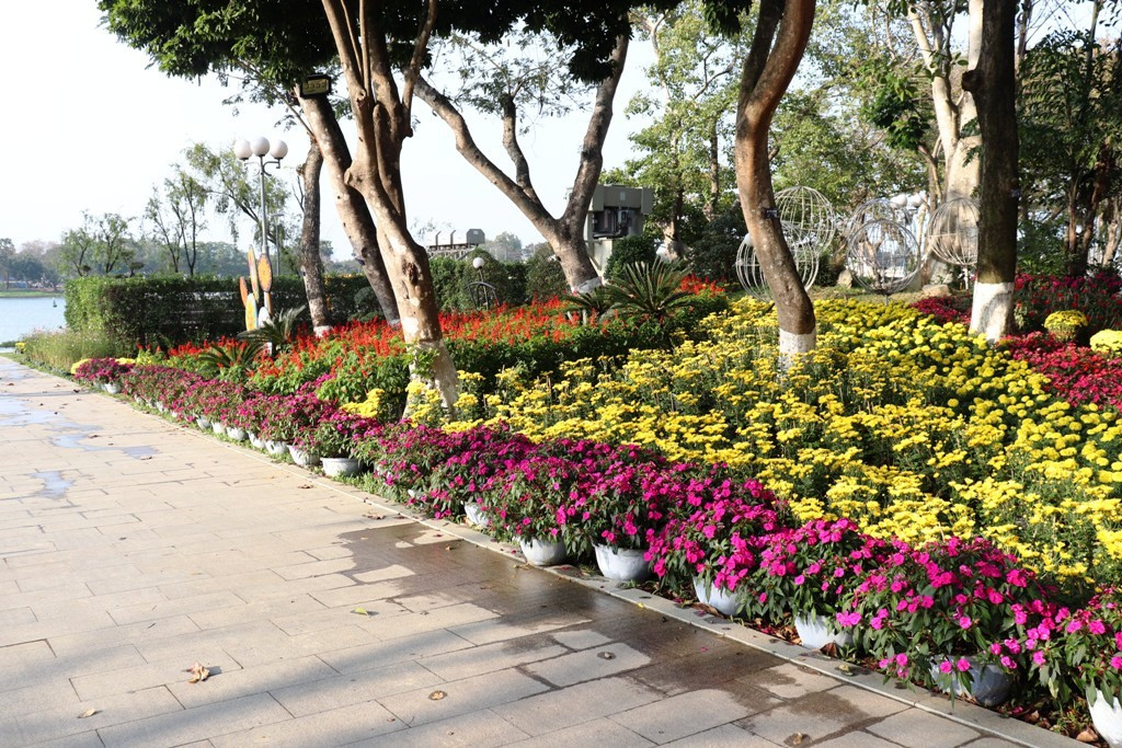 Nhìn ngắm Huế ngày cuối năm khoác 'áo hoa' lạ lẫm đón Tết ảnh 24