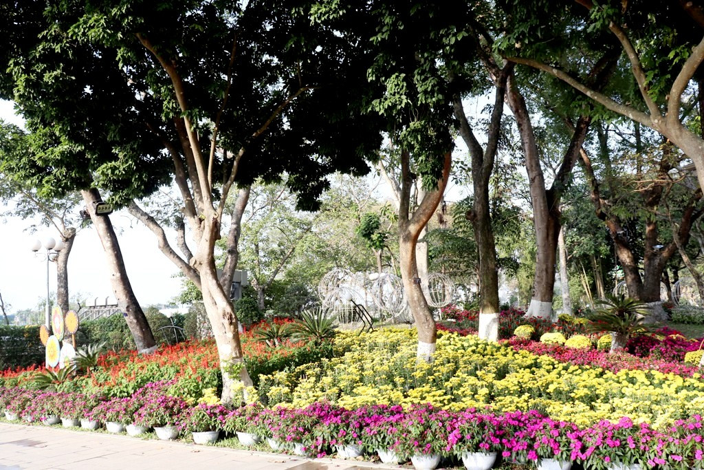 Nhìn ngắm Huế ngày cuối năm khoác 'áo hoa' lạ lẫm đón Tết ảnh 25