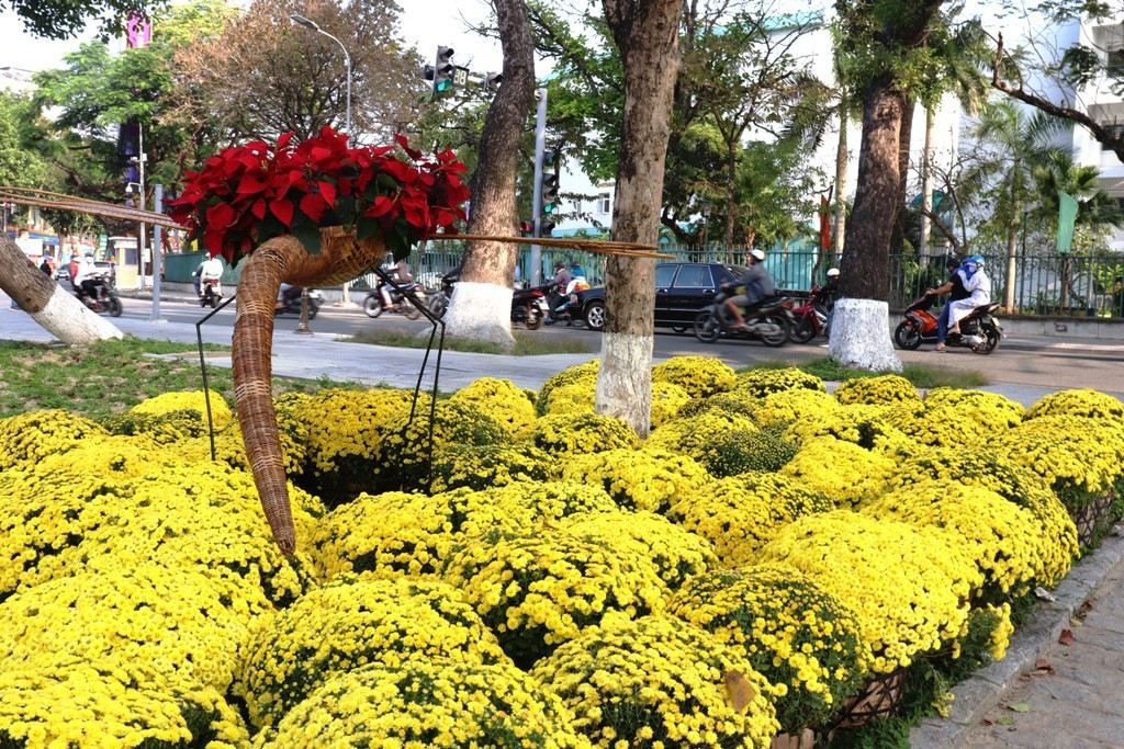 Nhìn ngắm Huế ngày cuối năm khoác 'áo hoa' lạ lẫm đón Tết ảnh 29