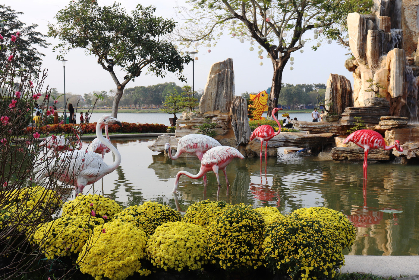 Nhìn ngắm Huế ngày cuối năm khoác 'áo hoa' lạ lẫm đón Tết ảnh 33