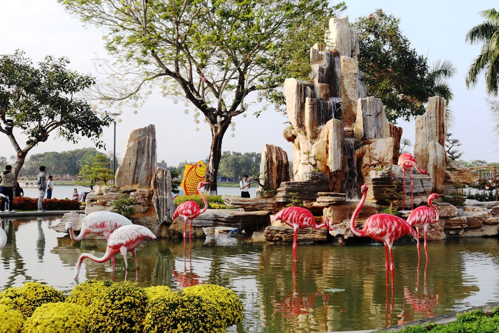 Nhìn ngắm Huế ngày cuối năm khoác 'áo hoa' lạ lẫm đón Tết ảnh 31