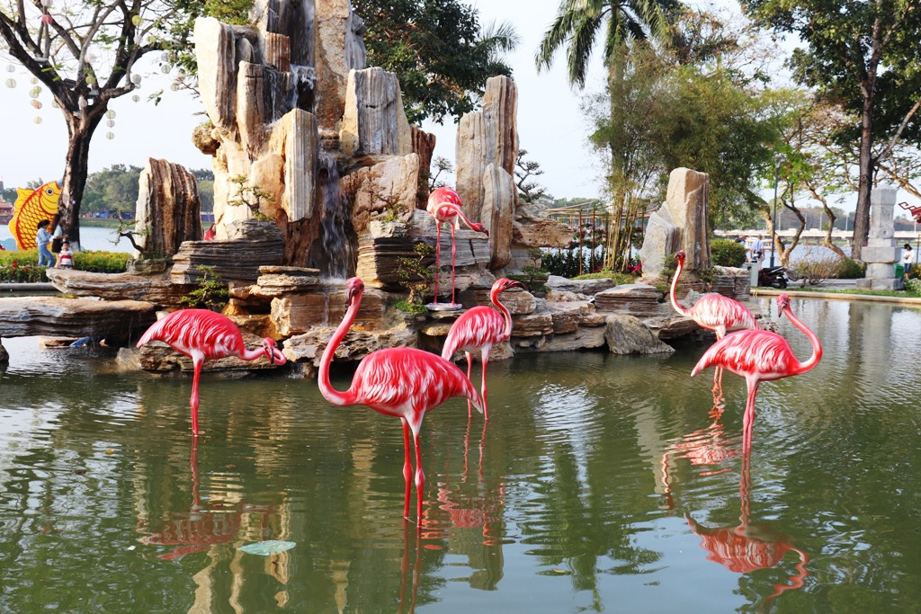 Nhìn ngắm Huế ngày cuối năm khoác 'áo hoa' lạ lẫm đón Tết ảnh 32