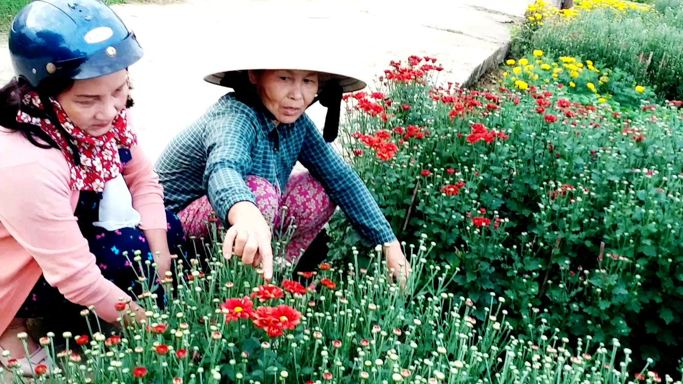 Xứ Huế bất ngờ bội thu… hoa ảnh 17