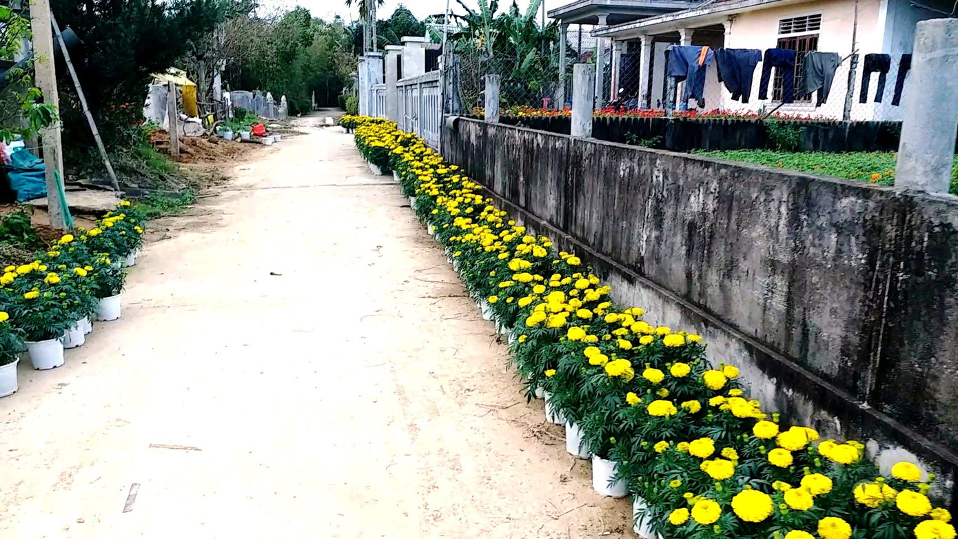 Xứ Huế bất ngờ bội thu… hoa ảnh 16