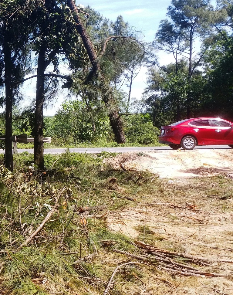 Đốn cây, phá núi mở đường cao tốc đe dọa người đi trên Quốc lộ 1 ảnh 8