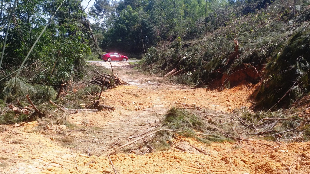 Đốn cây, phá núi mở đường cao tốc đe dọa người đi trên Quốc lộ 1 ảnh 2
