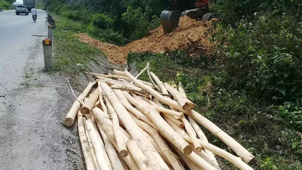 Đốn cây, phá núi mở đường cao tốc đe dọa người đi trên Quốc lộ 1 ảnh 13