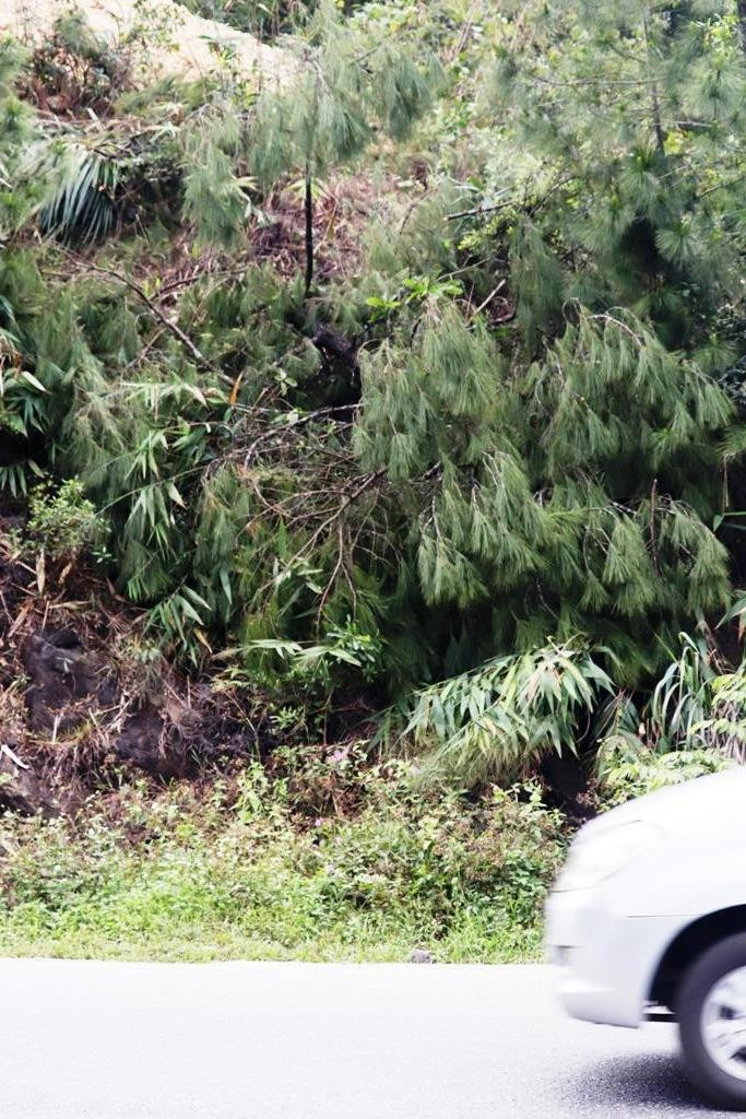 Đốn cây, phá núi mở đường cao tốc đe dọa người đi trên Quốc lộ 1 ảnh 9