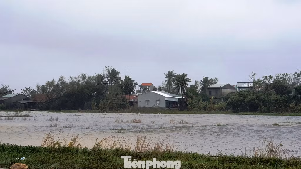 Gió giật mưa lớn, đường sá tại Huế không bóng người ảnh 13