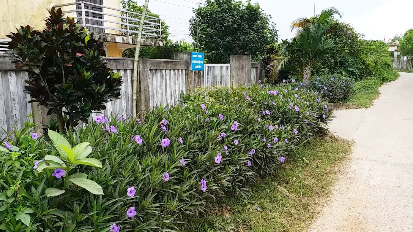 Sau lên phim 'Mắt biếc', phim trường 'Trường Tiểu học Cộng đồng Đo Đo' ra sao? ảnh 7