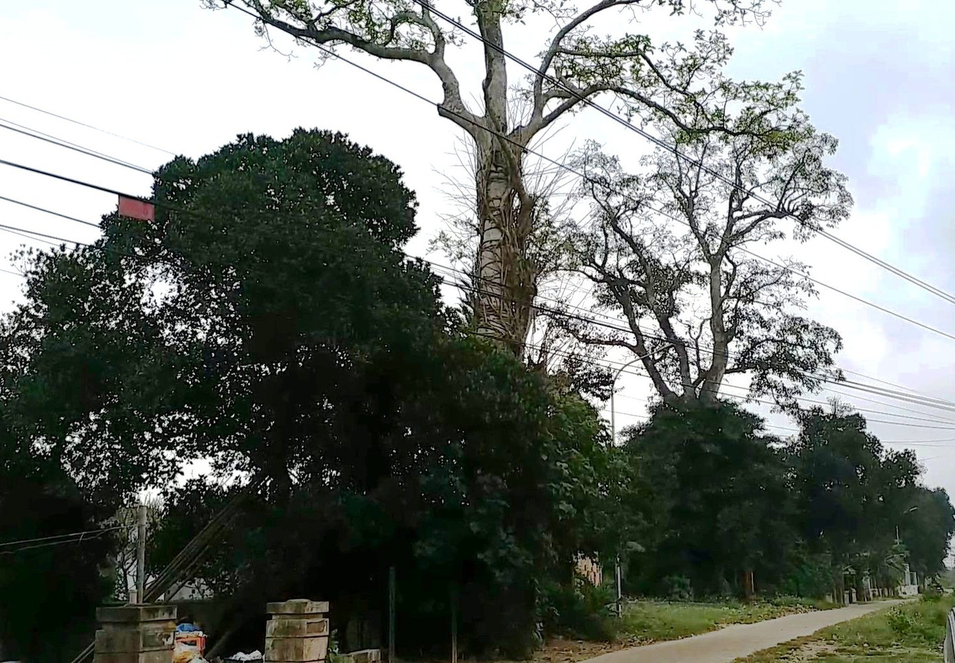 Sau lên phim 'Mắt biếc', phim trường 'Trường Tiểu học Cộng đồng Đo Đo' ra sao? ảnh 9