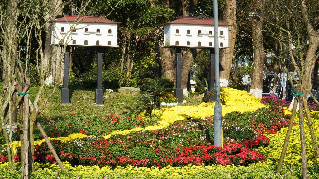 Huế khoác áo hoa rực rỡ sắc màu chiều 30 Tết ảnh 15