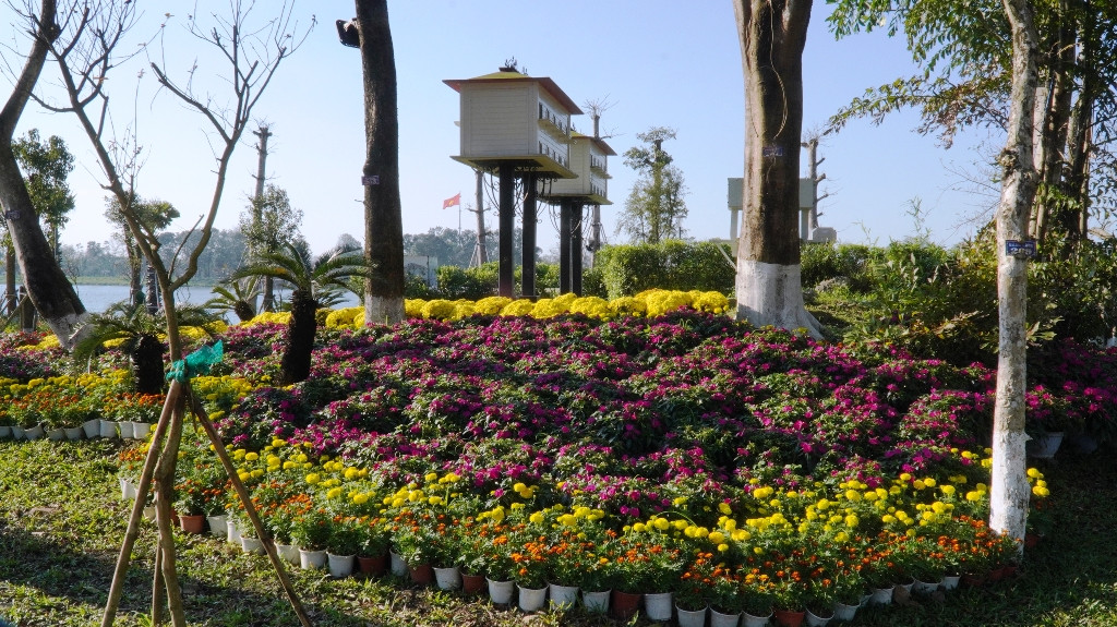 Huế khoác áo hoa rực rỡ sắc màu chiều 30 Tết ảnh 16