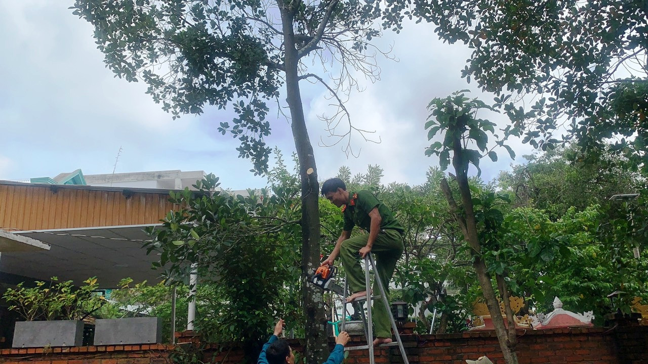 Huế thành lập lực lượng phản ứng nhanh ứng phó bão số 9 ảnh 5