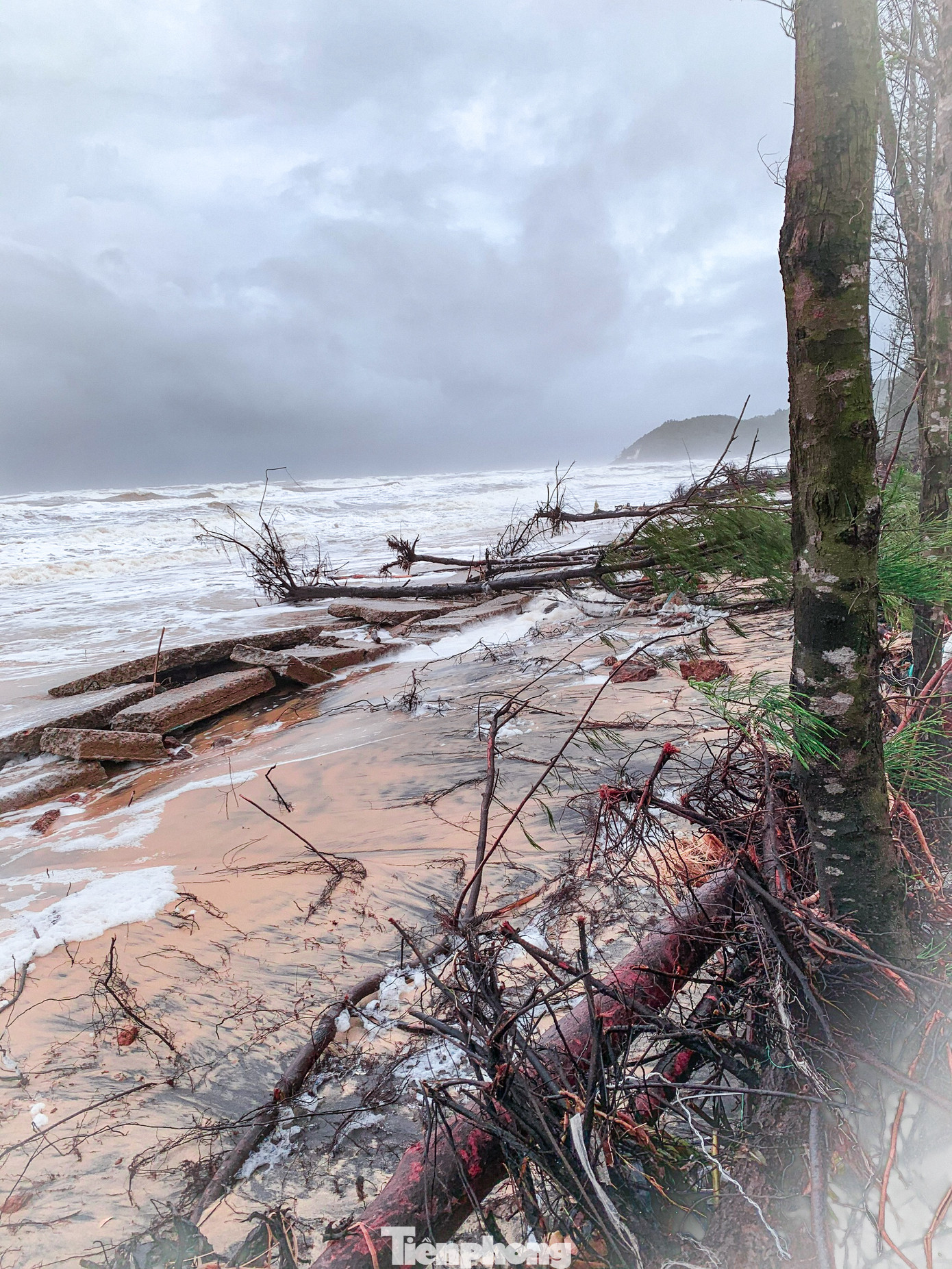Bão tan lũ rút, bờ biển Thừa Thiên Huế tan hoang ‘chưa từng thấy’ ảnh 16