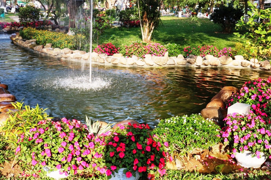 Nhìn ngắm Huế ngày cuối năm khoác 'áo hoa' lạ lẫm đón Tết ảnh 36