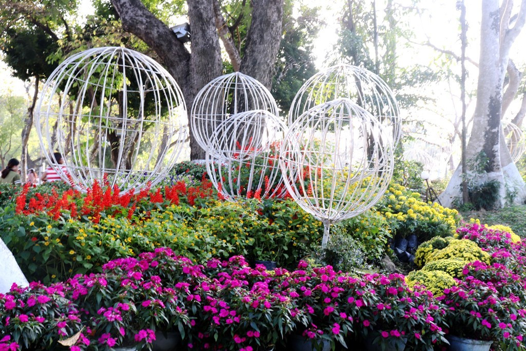 Nhìn ngắm Huế ngày cuối năm khoác 'áo hoa' lạ lẫm đón Tết ảnh 5