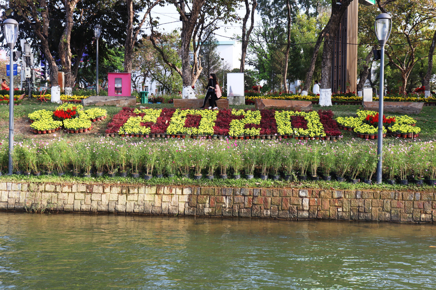 Nhìn ngắm Huế ngày cuối năm khoác 'áo hoa' lạ lẫm đón Tết ảnh 4