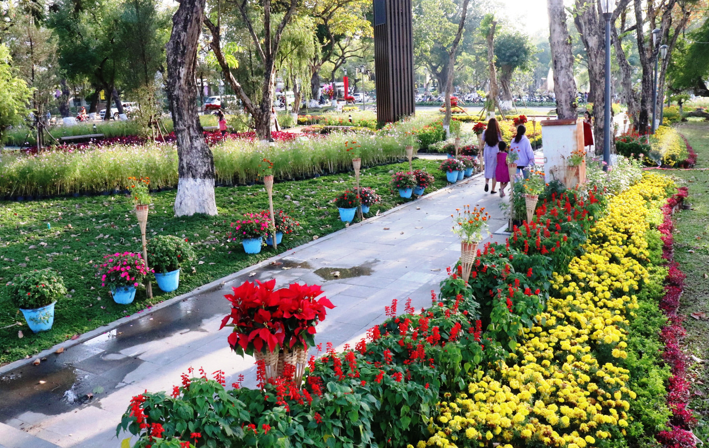 Nhìn ngắm Huế ngày cuối năm khoác 'áo hoa' lạ lẫm đón Tết ảnh 3