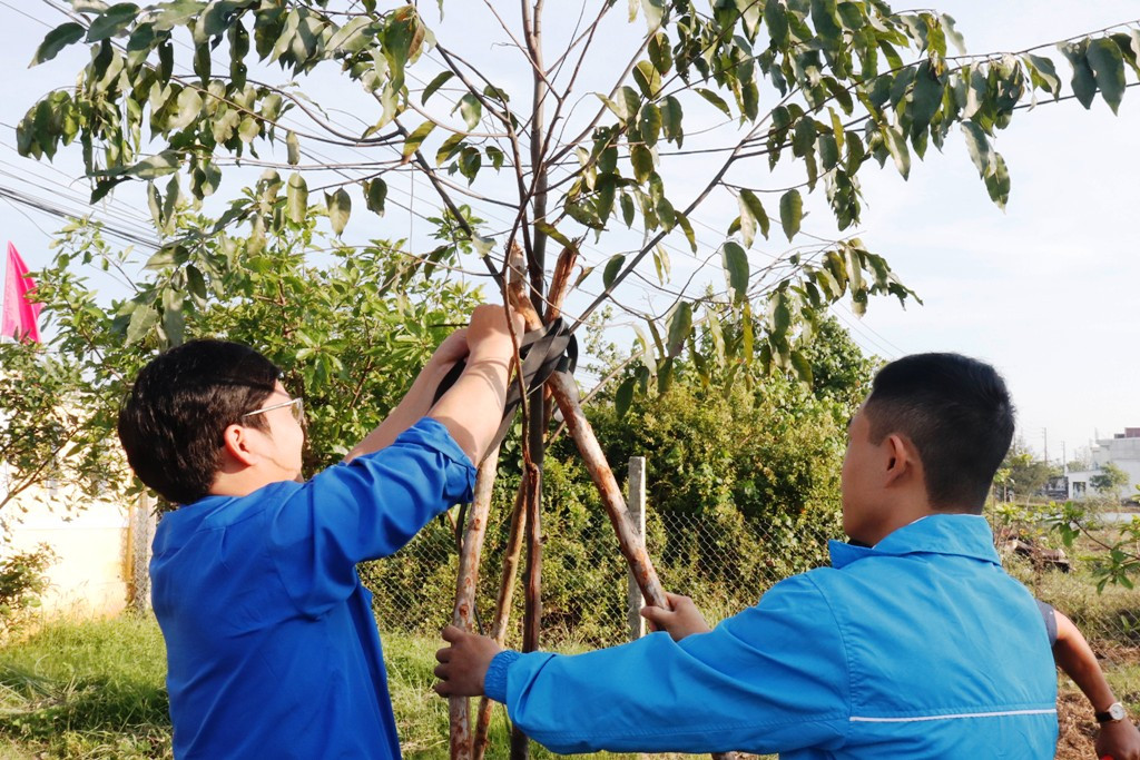 Thừa Thiên Huế ra quân Tháng thanh niên 2020 ảnh 3