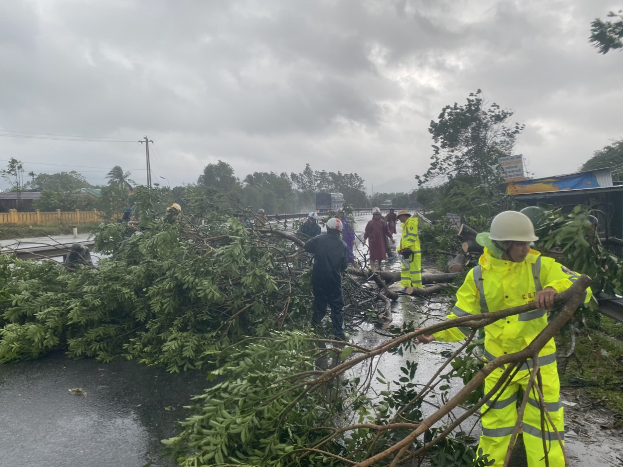 Bão số 9: Cây đổ la liệt bít kín Quốc lộ 1 qua Phú Lộc - Thừa Thiên Huế ảnh 1
