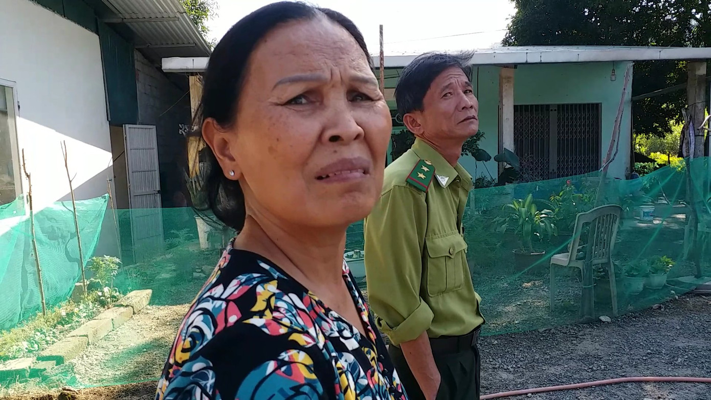 Lo sợ từng ngày bên 3 cây 'quái thú' bị bỏ rơi tại Huế ảnh 5