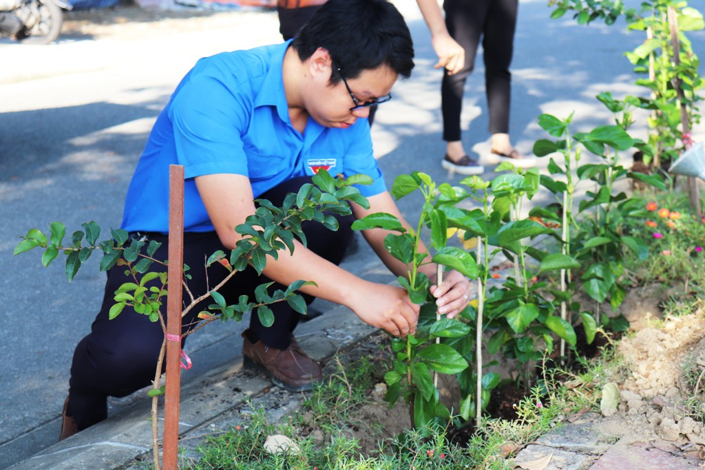 Đoàn viên thanh niên cụm Bắc Trung Bộ hưởng ứng 'Chủ Nhật xanh' tại Huế ảnh 6