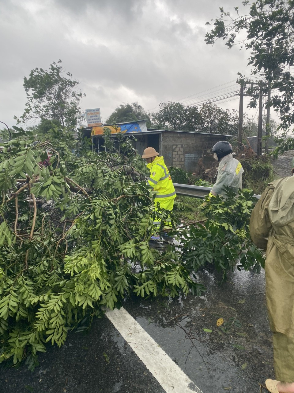 Bão số 9: Cây đổ la liệt bít kín Quốc lộ 1 qua Phú Lộc - Thừa Thiên Huế ảnh 4