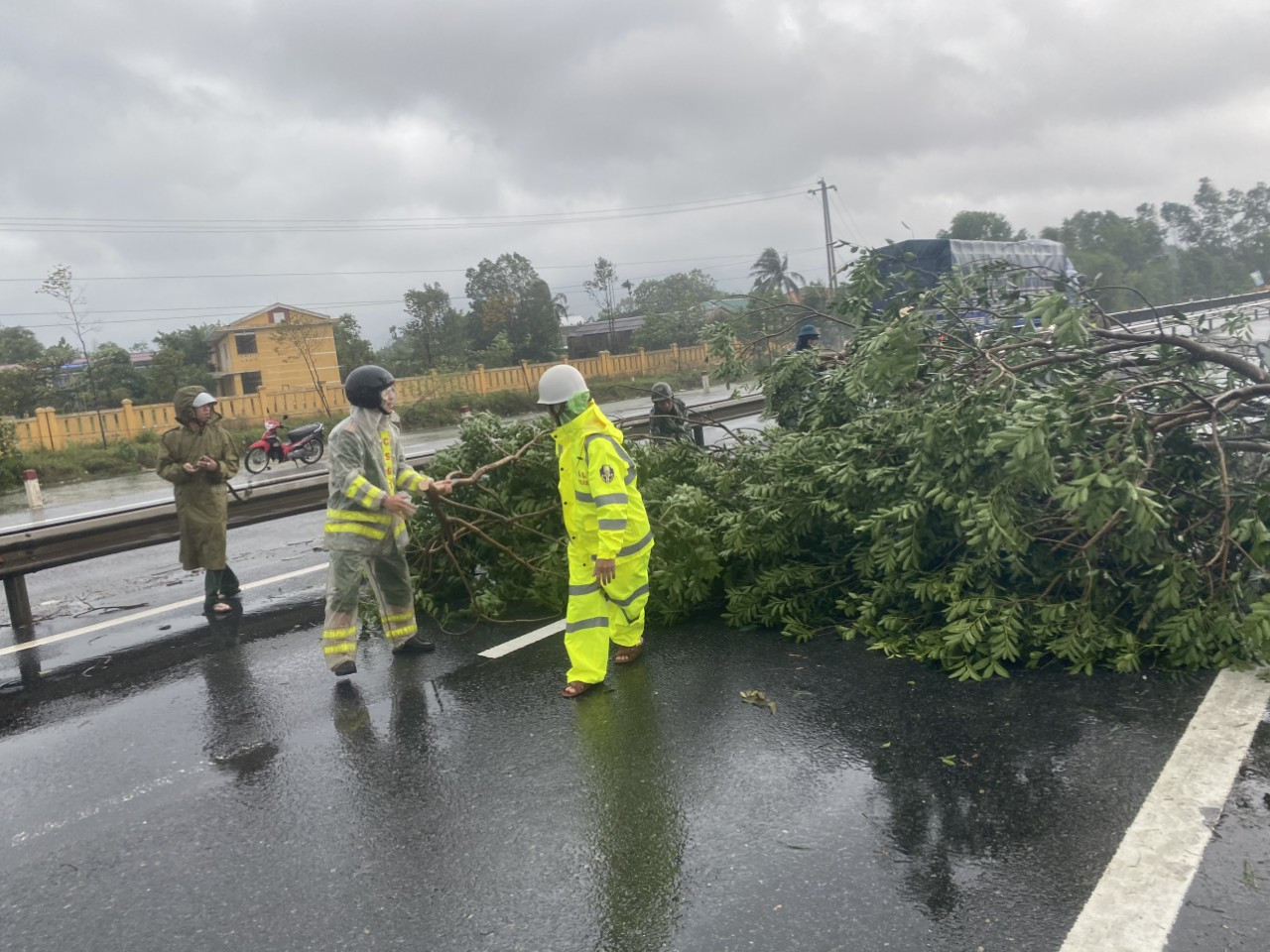 Bão số 9: Cây đổ la liệt bít kín Quốc lộ 1 qua Phú Lộc - Thừa Thiên Huế ảnh 8