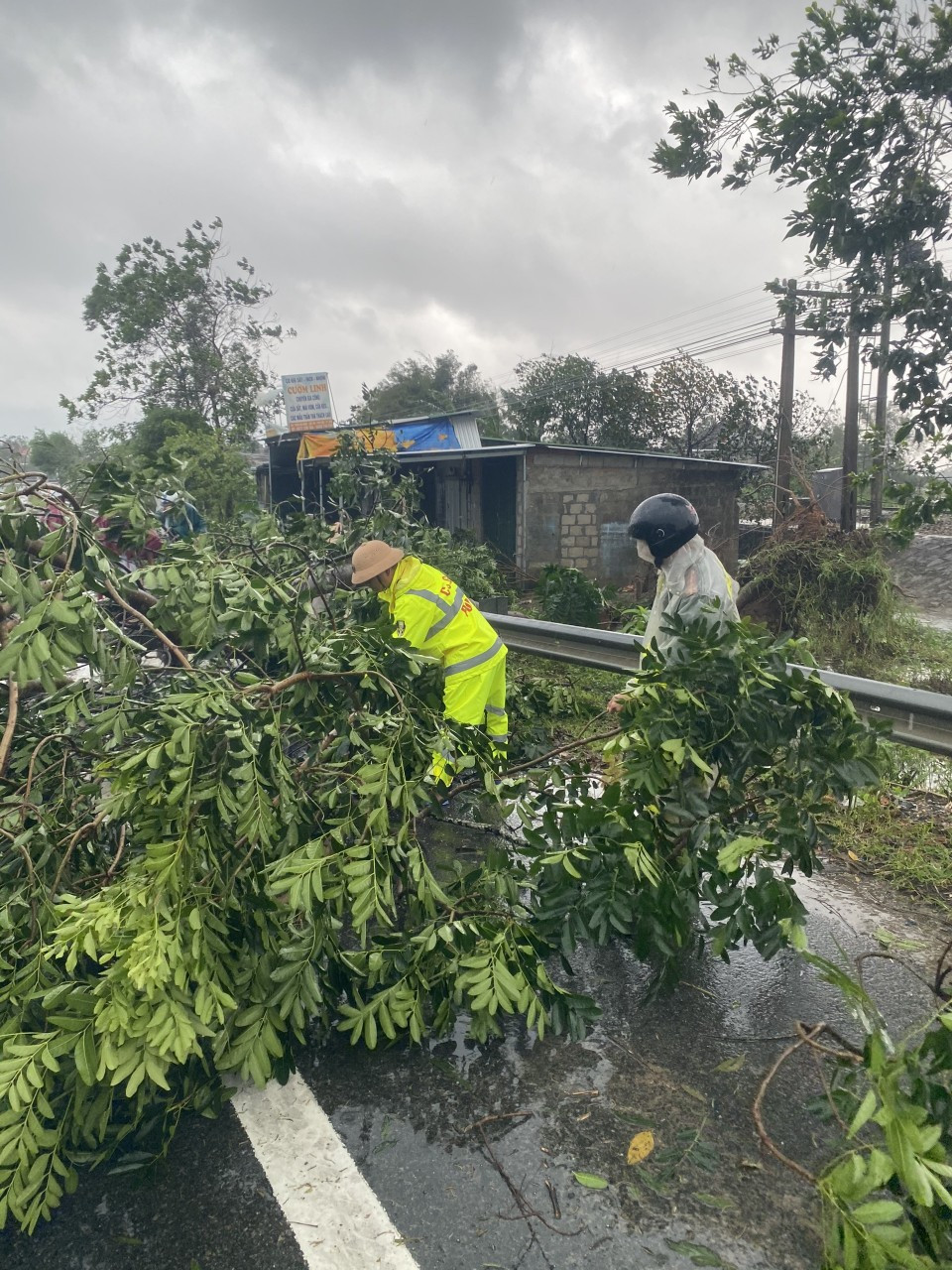 Bão số 9: Cây đổ la liệt bít kín Quốc lộ 1 qua Phú Lộc - Thừa Thiên Huế ảnh 2