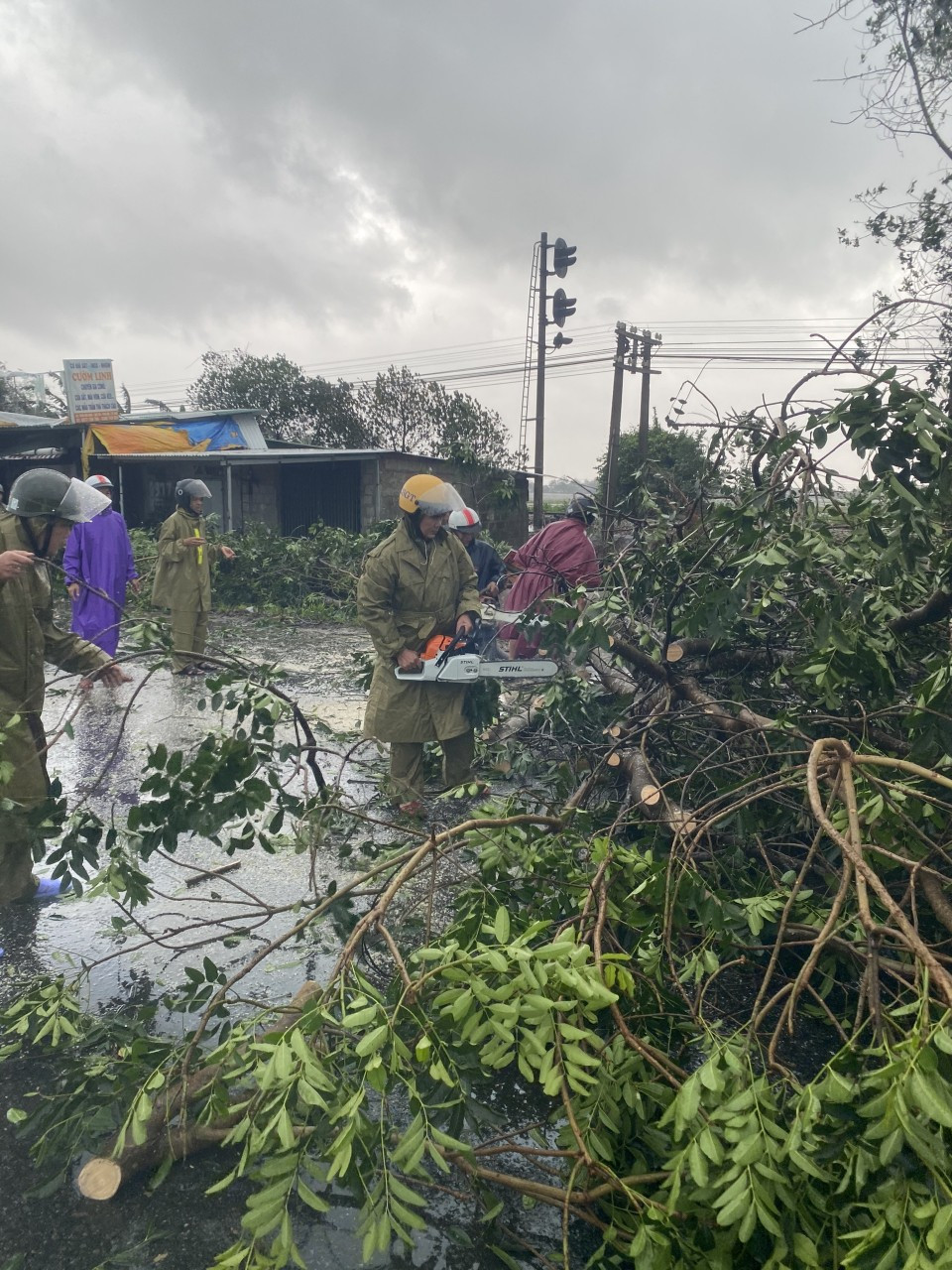 Bão số 9: Cây đổ la liệt bít kín Quốc lộ 1 qua Phú Lộc - Thừa Thiên Huế ảnh 5