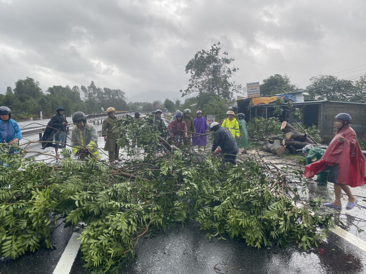 Bão số 9: Cây đổ la liệt bít kín Quốc lộ 1 qua Phú Lộc - Thừa Thiên Huế ảnh 9