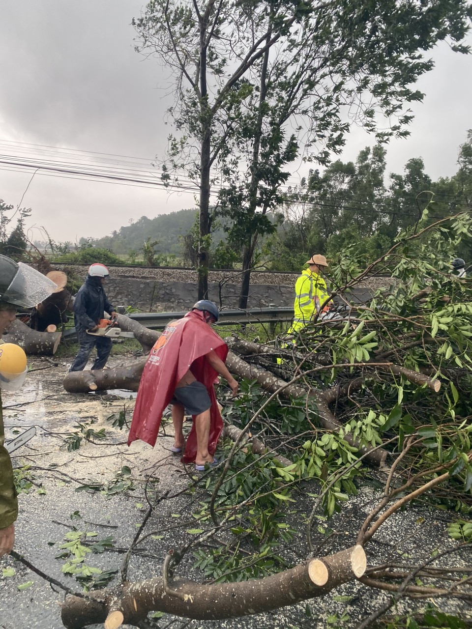 Bão số 9: Cây đổ la liệt bít kín Quốc lộ 1 qua Phú Lộc - Thừa Thiên Huế ảnh 6