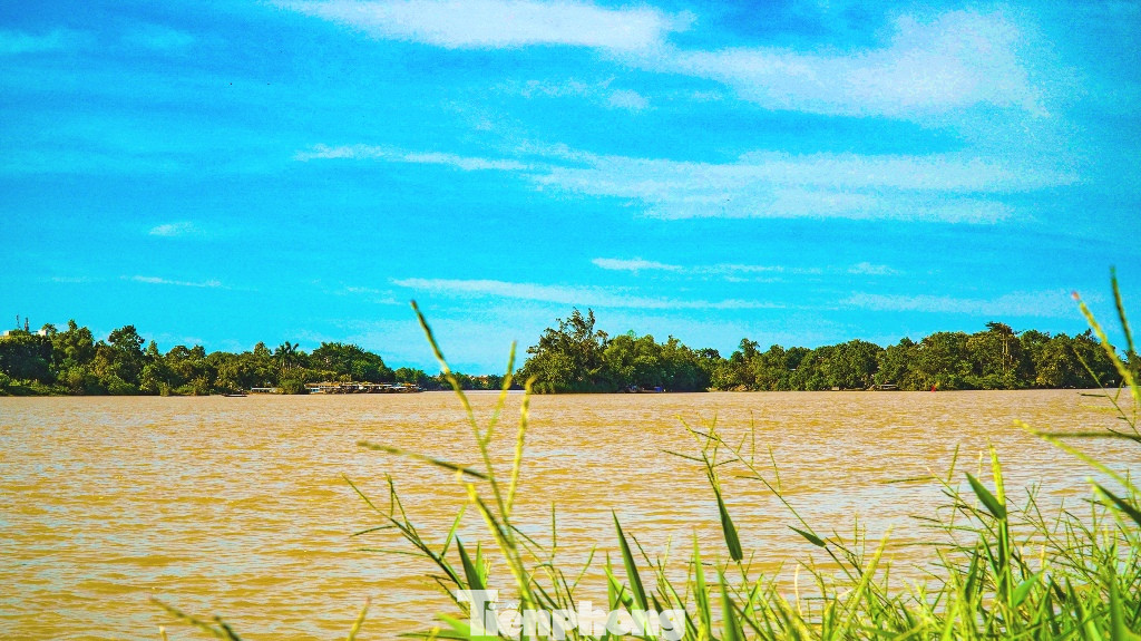 Sông Hương bất ngờ đổi màu khác thường nhiều ngày ảnh 10