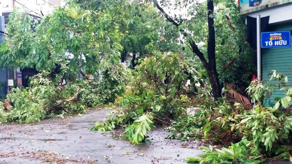 Cây đổ hàng loạt, mất điện, hàng nghìn nhà tốc mái do bão số 5 ảnh 22