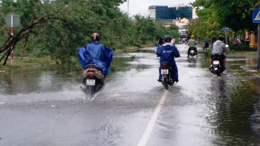 Cây đổ hàng loạt, mất điện, hàng nghìn nhà tốc mái do bão số 5 ảnh 15