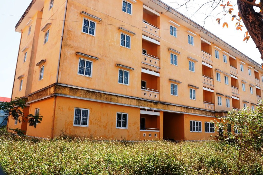 Chung cư 'chục tỷ' xây gần 10 năm ở Huế không biết làm gì, cây dại phủ như rừng ảnh 2