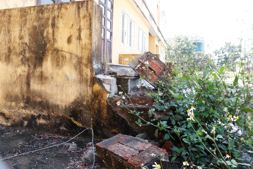 Chung cư 'chục tỷ' xây gần 10 năm ở Huế không biết làm gì, cây dại phủ như rừng ảnh 12